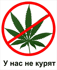KOCMOC